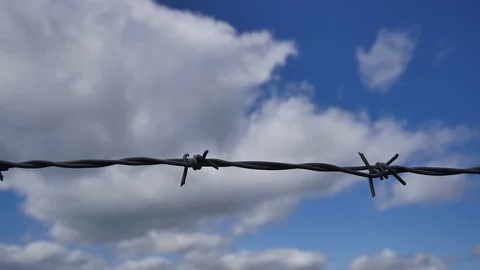Time Lapse of a barbed wire Stock Footage 95394130