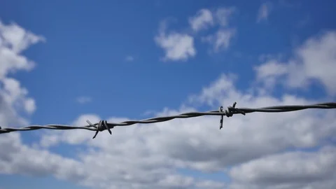 Time Lapse of a barbed wire 動画素材 95394147