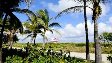 Time lapse of beach scene with palm trees and lifeguard house Stock Footage 72801722