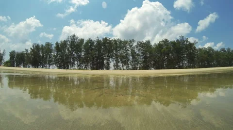 Time lapse of beach with small crabs Stock Footage 44323359