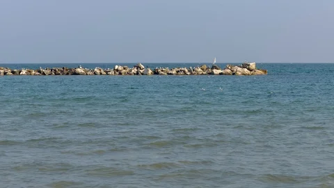 Time lapse beach in winter in the Adriatic Sea Stock Footage 96239091