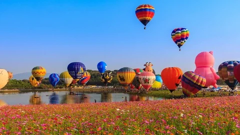 Time Lapse Beautiful Balloons Of Singha Park International Balloon Fiesta 2017 Видео 72932973