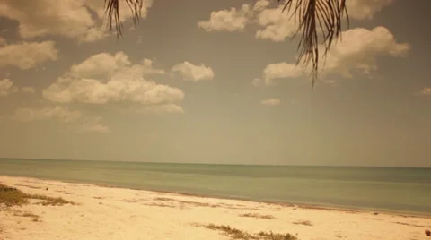 Time lapse of beautiful beach, clouds and palms Video stock 39617831