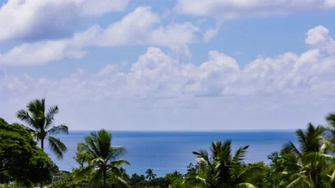 Time Lapse - Beautiful clouds above ocean with palm trees Stock Footage 222675736
