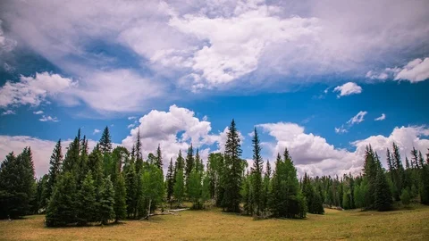 Time Lapse - Beautiful Clouds Moving Over Green Fields Stock Footage 92880300