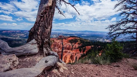 Time Lapse - Beautiful Clouds Moving Over Bryce Canyon National Park in Utah Stock Footage 93873729