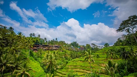 Time Lapse - Beautiful Clouds Moving Over the Rice Terraces - 4K Stock Footage 100651654