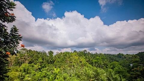 Time Lapse - Beautiful Clouds Moving Over the Forest - 4K Stock Footage 100651775