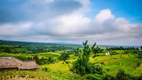 Time Lapse - Beautiful Clouds Moving Over Rice Terraces - 4K Stock Footage 100652683