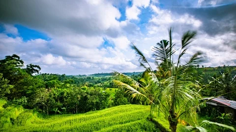 Time Lapse - Beautiful Clouds Moving Rice Terraces - 4K Video stock 100653236