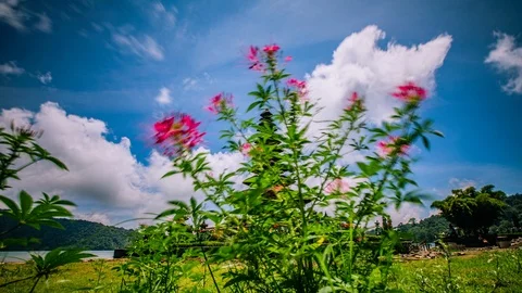 Time Lapse - Beautiful Clouds Moving Over Temple by the Lake - 4K Stock Footage 100653464