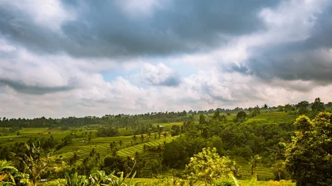 Time Lapse - Beautiful Clouds Moving Rice Terraces - 4K Stock Footage 101703746