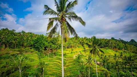 Time Lapse - Beautiful Clouds Moving Rice Terraces - 4K Stock Footage 106054654