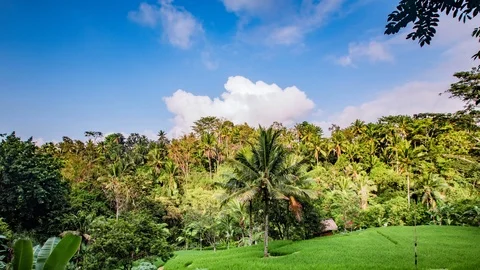 Time Lapse - Beautiful Clouds Moving Over the Forest - 4K Video stock 106276743
