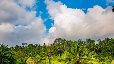 Time Lapse - Beautiful Clouds Moving Over the Forest - 4K Stock Footage 109589751