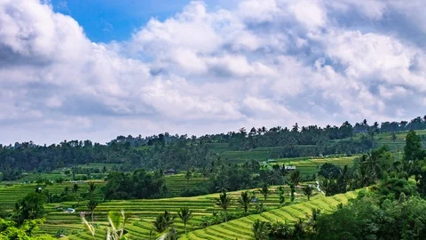 Time Lapse - Beautiful Clouds Moving Over Rice Terraces - 4K Stock Footage 109590493