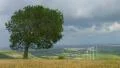 Time lapse of beautiful field, green tree near wind farm, clouds, weather change 4k or 4k+ Resolution