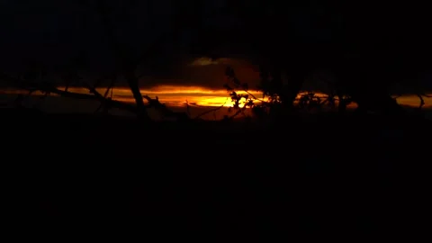Time Lapse Beautiful Landscape with Sunset Over Countryside forest Trees Stock Footage 256402397