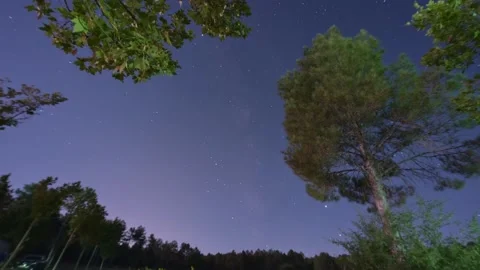 Time lapse Beautiful night sky, the Milky Way and the trees. Stock Footage 198234862