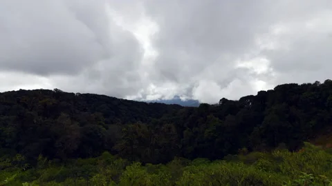 Time lapse of Beautiful rain forest or montain forest with cloudy Stock-Footage 220907238