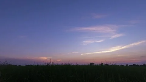 Time lapse of Beautiful sky after sunset at paddy field.Lop Buri Thailand Video stock 99293174
