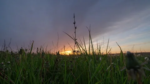 Time lapse of a beautiful summer sunset with camera movement through the grass Stock Footage 276942568