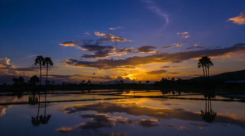 Time lapse beautiful sunset and reflection in pond Stock Footage 40592543