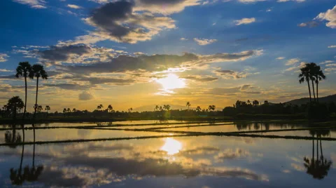 Time lapse beautiful sunset and reflection in pond (zoom out) Stock Footage 40597066