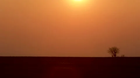 Time-lapse of a beautiful sunset on a wide field with a tree on the horizon Stock Footage 150358952