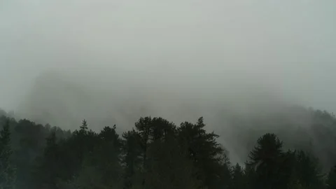 Time lapse of beautiful view in the forest with fog. Stock Footage 168102169