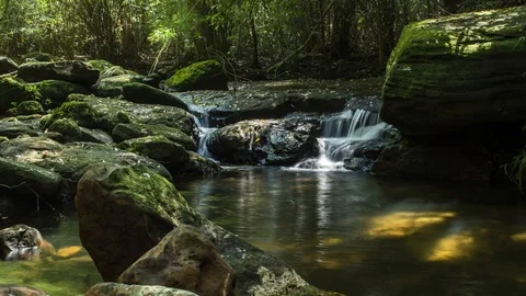 Time lapse Beautiful waterfalls in the forest Stock Footage 97780053