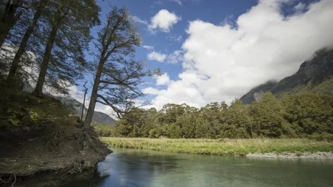 Time lapse of beech trees by the Eglinton River, Fiordland, New Zealand. Stock Footage 132613854