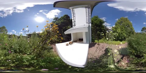 Time Lapse of Beehive in a Meadow - 360 VR Stock Footage 138365159