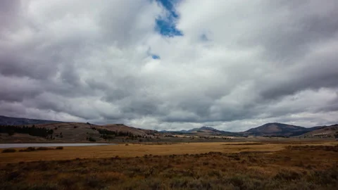 Time-lapse - Bison herd parades at Yellowstone National Park Stock Footage 154559138