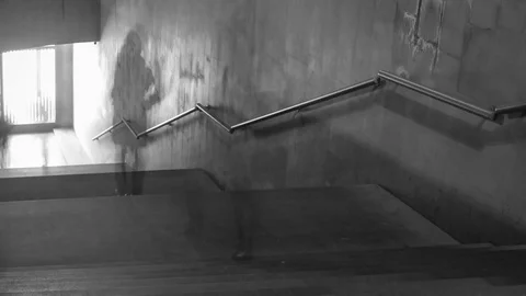 Time Lapse of black and white pictures of walking people on the stairs. Camera Stock Footage 83524351