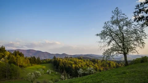 Time Lapse Black Forest Hills Landscape Evening Schwarzwald 4K Stock Footage 176834316