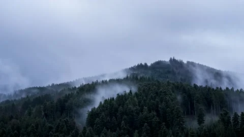Time Lapse Black Forest Mountains Foggy Rain 4K Stock Footage 176807443