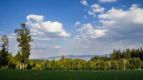 Time Lapse Black Forest Nature Landscape Schwarzwald 4K Stock Footage 176838385