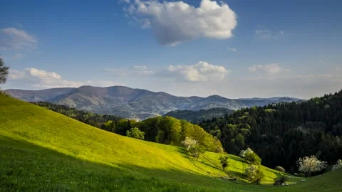 Time Lapse Black Forest Valley Nature Sheep Schwarzwald 4K Stock Footage 176834260
