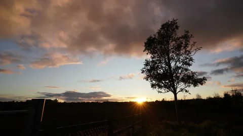 Time-lapse black silhouette of a tree during sunset with clouds Video stock 141386937