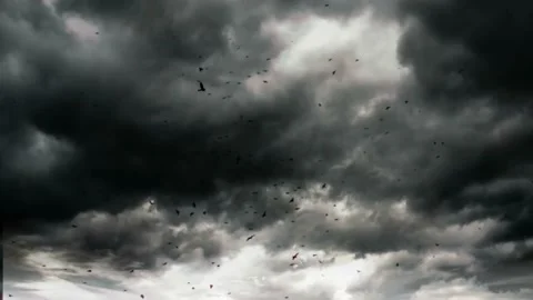 Time-lapse black sky style fantasy for background.  Stock Footage 142774648