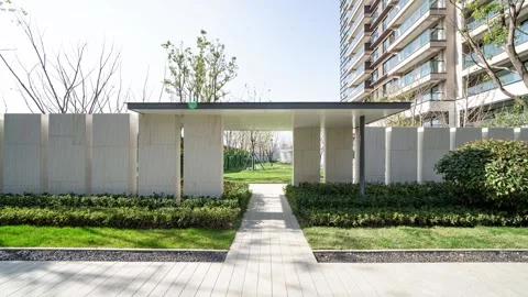 Time lapse of blank wall and shadow of tree Stock Footage 168394396