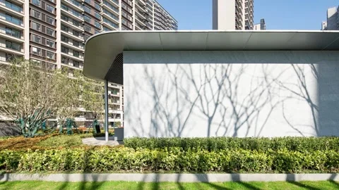 Time lapse of blank wall and shadow of tree Stock Footage 168395937