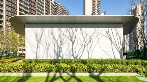 Time lapse of blank wall and shadow of tree Stock Footage 168396330