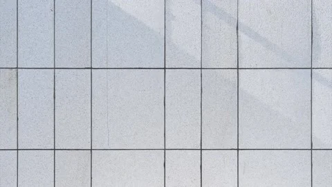 Time lapse of blank wall and shadow of tree Stock Footage 168396548