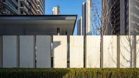 Time lapse of blank wall and shadow of tree Stock Footage 168396600