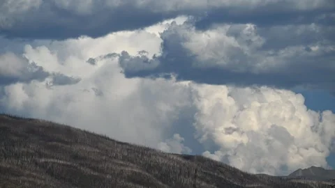 Time lapse of blowing storm clouds above a ridge of burnt trees from a forest Stock Footage 316152910