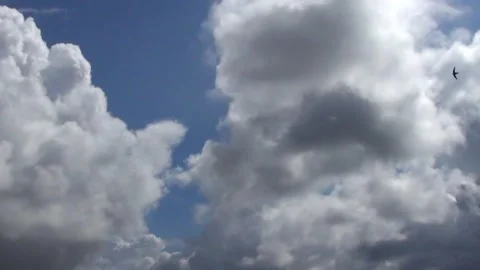 Time lapse, blue sky and large clouds, dense clouds Stock Footage 277639577