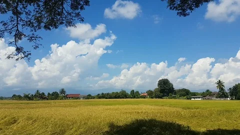 Time lapse blue sky with beautiful clouds at the rice field Stock Footage 108202553