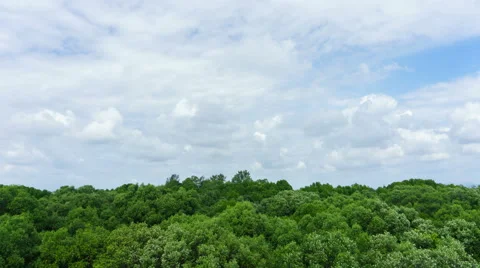 Time-lapse : Blue sky clouds over the tree forest. Stock Footage 60066662